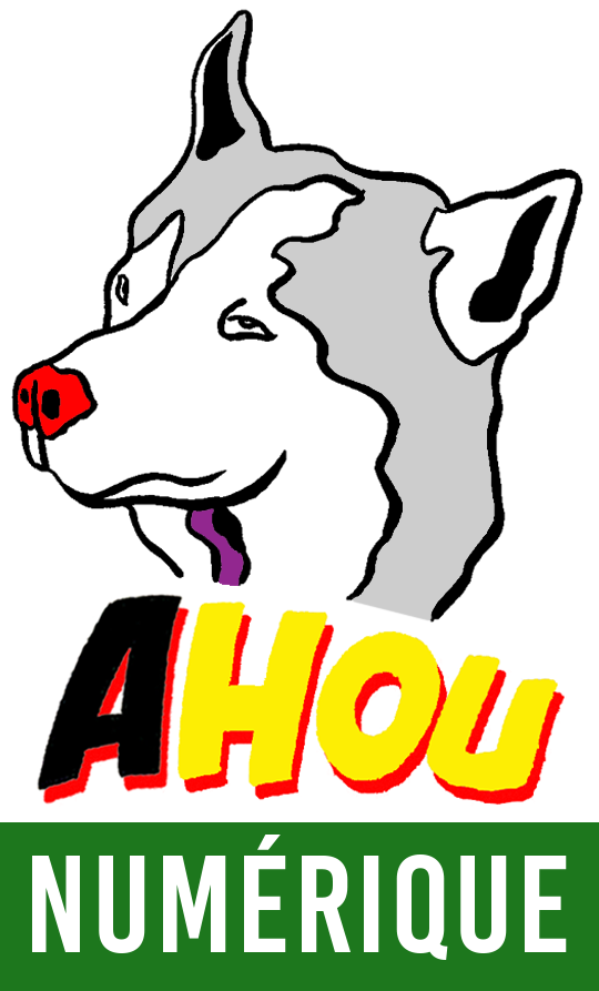 Logo AHOU NUMÉRIQUE chien-loup JAUNE et ROUGE 3 SANS date